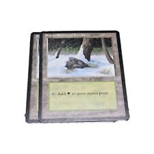 L'era glaciale #347 Foresta