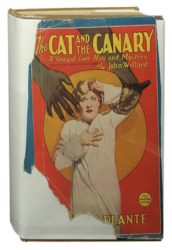 John willard the cat - cat,