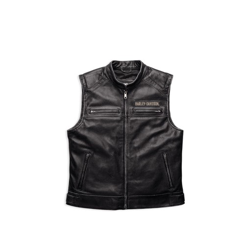 Harley davidson passing link - passing,