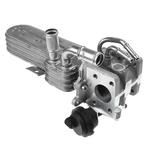 Refrigeratore egr audi seat - audi,