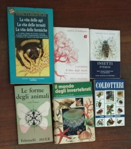 Lotto libri sugli insetti - lotto,