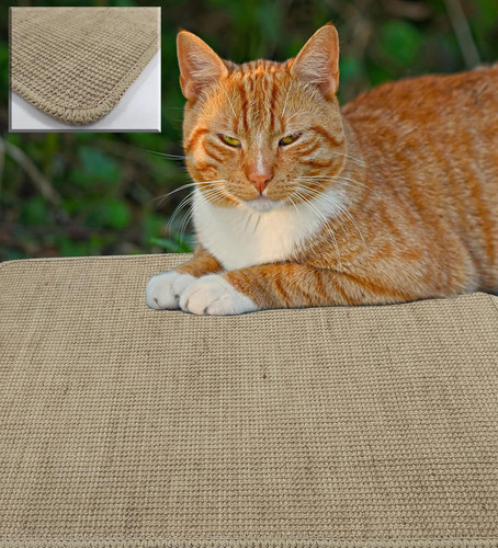 Tappeto tiragraffi gatti - tappeto,