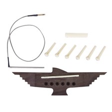 6 Corde Chitarra Acustica