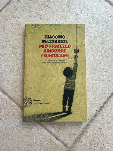 Mio fratello rincorre - , i