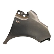 Parafango Anteriore Destro