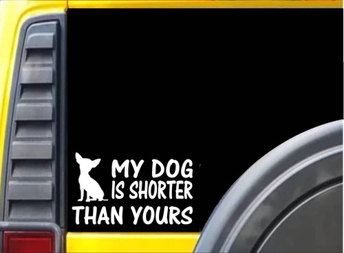 Adesivo dog shorter k467 - adesivo, my