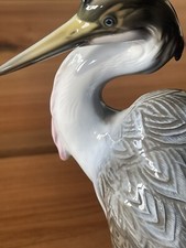 Classic Rose Collection