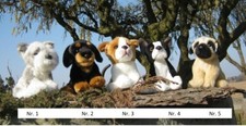 Anima 1657 cuccioli bulldog - anima, di