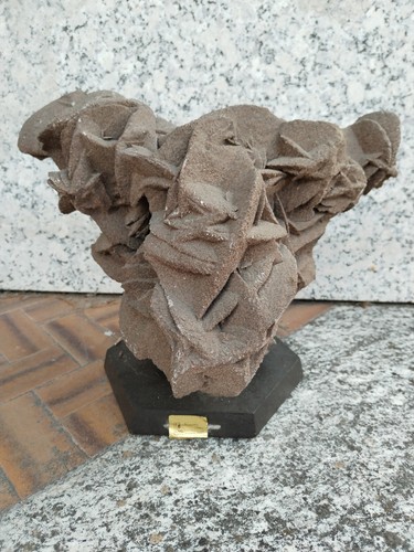 Rosa nera del deserto