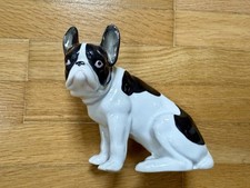 Black White French Buldog