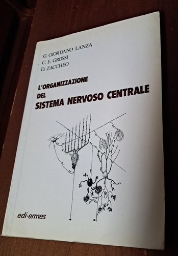 Organizzazione del sistema - l'organizzazione,