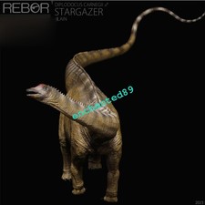 Statua dinosauro diplodocus maschio REBOR modello PVC esposizione Stargazer versione semplice