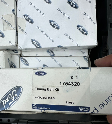 Kit cinghia distribuzione - cinghia,