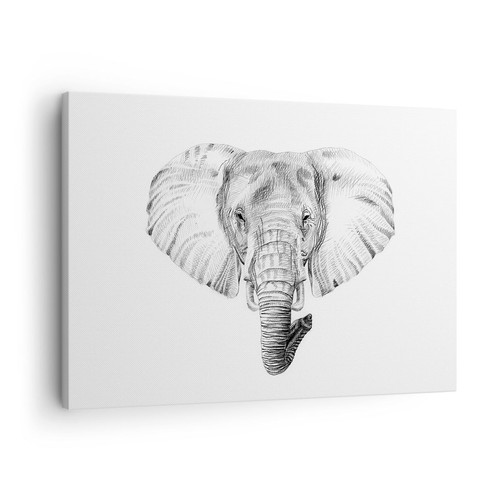 Quadro tela 70x50cm - quadro,