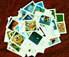 Cards -  Pensieri illustrati per ogni occasione - Collezione  MAGNUS REGALI  