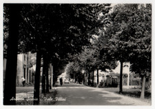 A1 POSTCARD ALESSANDRIA ARCHED