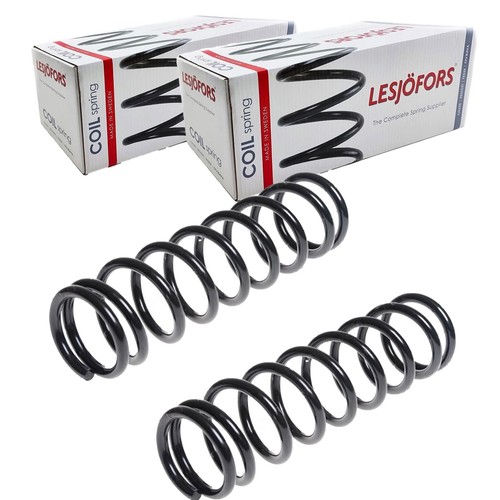 Lesjöfors molle - 2x,