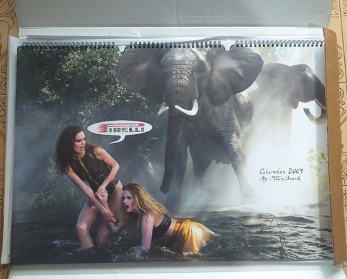 Calendario pirelli 2009 - pirelli,