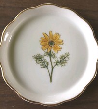 Porcellana Herend