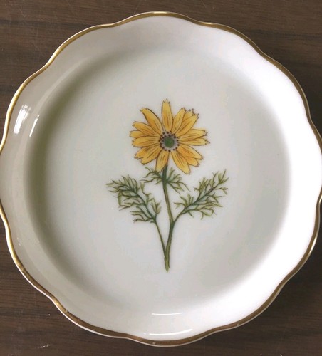 Porcellana herend - porcellana,