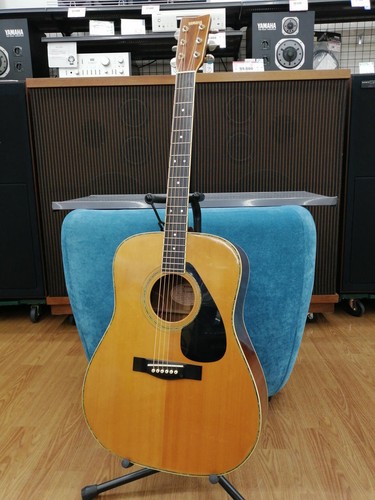 Chitarra acustica elettrica