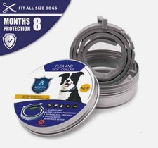 Collare antiparassitario per