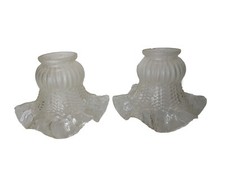 Coppia Di Tulipani Per