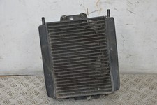 79026- Radiatore + Elettroventola Piaggio MP3 250 Dal 2009 al 2016