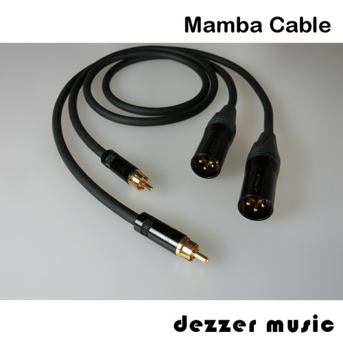 Cavo adattatore - 2x, 1m