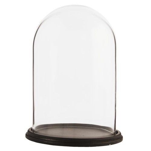 Espositore vetro cloche - espositore,