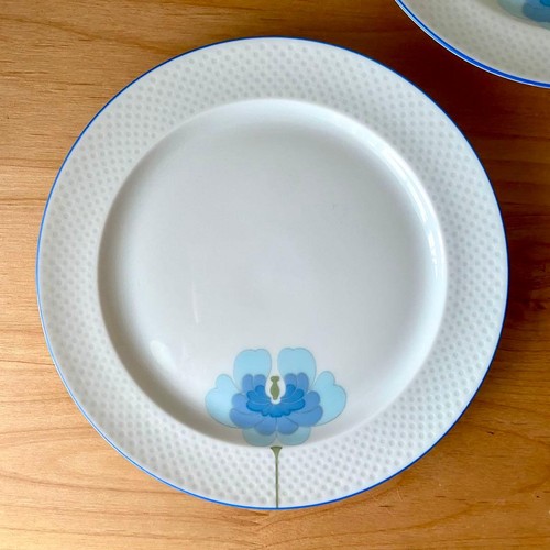 Set piatti fiori blu - piatti,