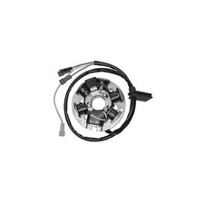 STATORE DUCATI ENERGIA 6 POLI HM CRE DERAPAGE 50 2003 2005