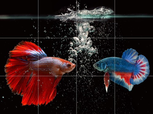 Pannello ceramica mosaico - , di
