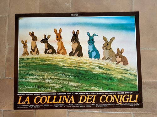 Fotobusta collina dei - fotobusta, la