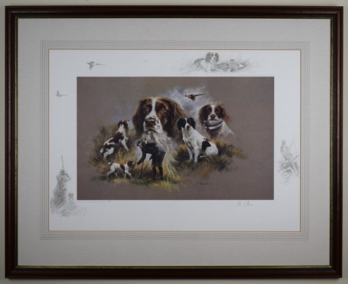 Springer spaniels signed - springer,