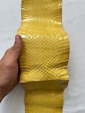 Pelle di serpente per