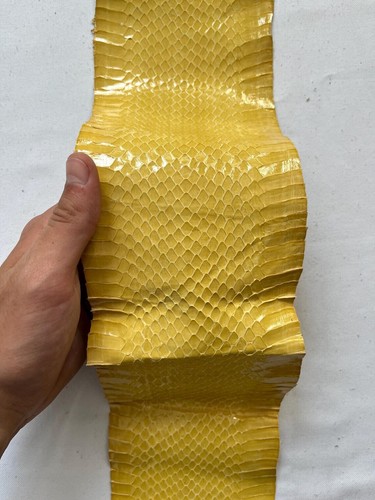 Pelle serpente per - pelle,