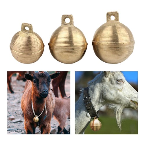 Campana pascolo suono - campana,