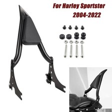 Sissy Bar schienale passeggero