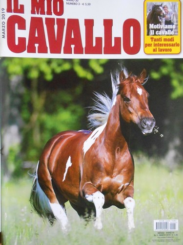 Mio cavallo 2019 marzo - il,