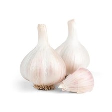4 bulbi di semi di aglio