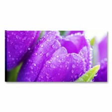 Tulipani viola 2 QUADRI