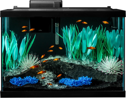 Kit serbatoio pesci acquario - pesci,