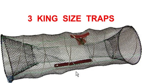 Trappole per gamberi king - 3,