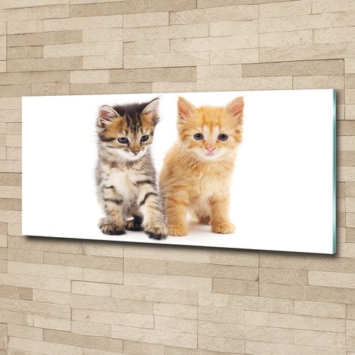 Quadro stampa vetro wall art - quadro,