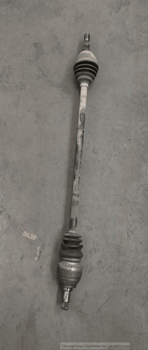 24462241 semialbero ant - 24462241,