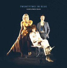 Twentytwo blue sunflower - in, by