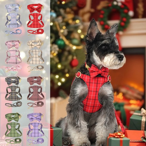 Set per cagnolini collare - per,
