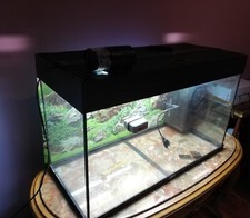 Acquario Juwel 125 litri dimensioni:lunghezza 81cm larghezza 36cm altezza 50cm