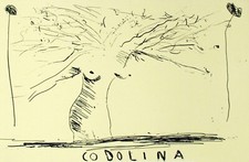 Aldo mondino codolina - aldo,